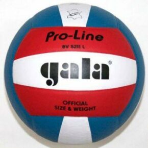 Мяч волейбольный Gala Pro-Line BV5211LAE