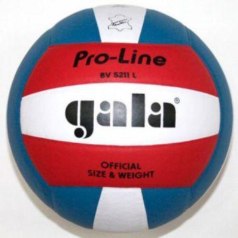 Мяч волейбольный Gala Pro-Line BV5211LAE