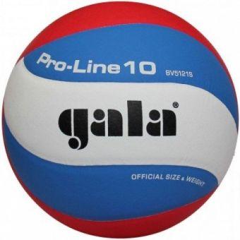 Мяч волейбольный Gala Pro-Line BV5121SA