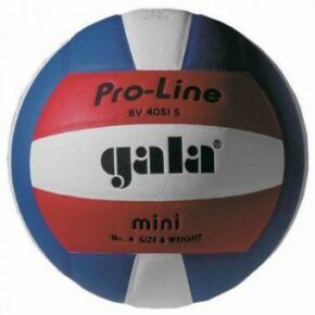 Мяч волейбольный Gala Pro-Line BV4051SAE