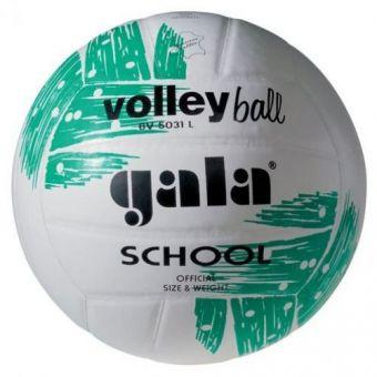 Мяч волейбольный Gala School BV5031LBE