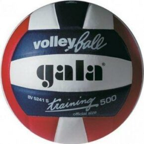 Мяч волейбольный Gala Training BV5241SBE
