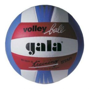 Мяч волейбольный Gala Training BV5531SBE