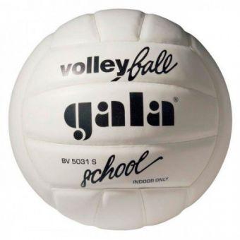 Мяч волейбольный Gala School FBV5031SBE