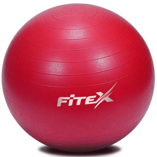 Мяч гимнастический Fitex MD1225-55 с защитой от разрыва, 55 см