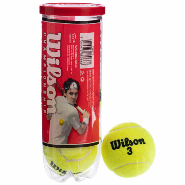 Мяч для большого тенниса WLS CHAMPIONSHIP T1001-D 3шт салатовый