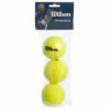 Мяч для большого тенниса WLS VOLLEY W-155 3шт салатовый