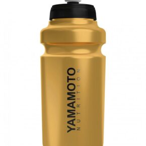 Water Bottle – 500ml Gold